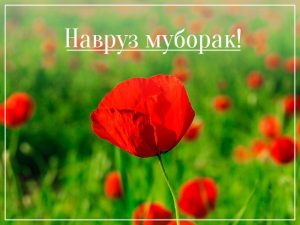 5de4e4a8594ac504076688-300x225 ХАБАРҲО