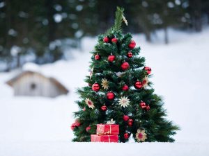 weihnachtsbaum-geschmueckt-schnee-00078387-florapress-300x225 ХАБАРҲО